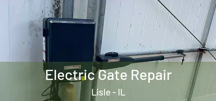 Electric Gate Repair Lisle - IL