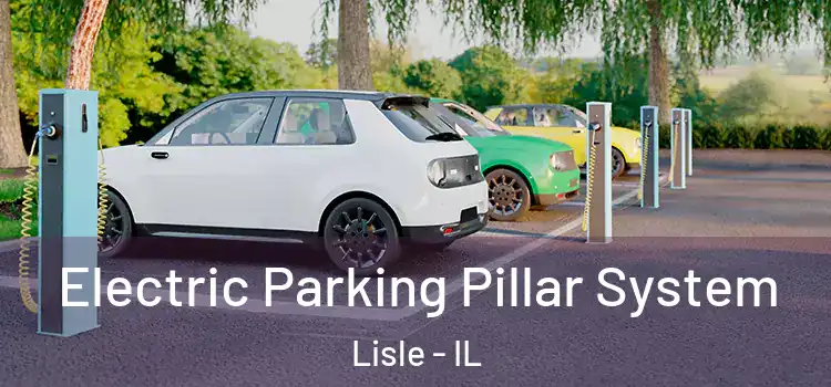 Electric Parking Pillar System Lisle - IL