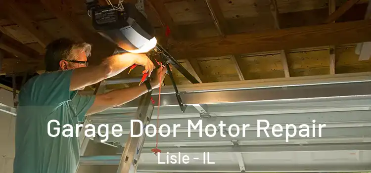  Garage Door Motor Repair Lisle - IL