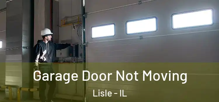  Garage Door Not Moving Lisle - IL