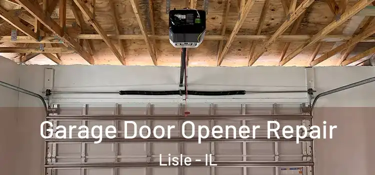  Garage Door Opener Repair Lisle - IL