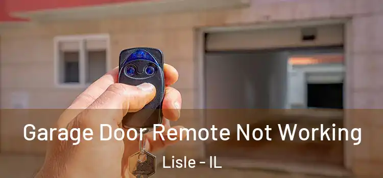 Garage Door Remote Not Working Lisle - IL
