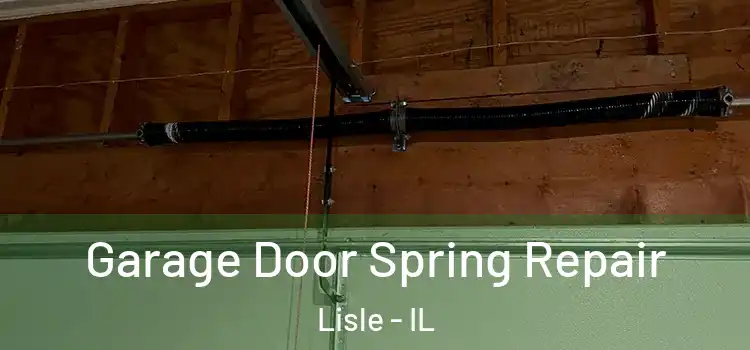 Garage Door Spring Repair Lisle - IL