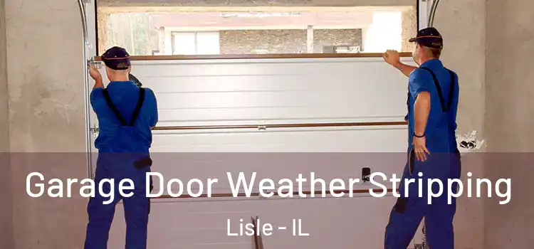  Garage Door Weather Stripping Lisle - IL