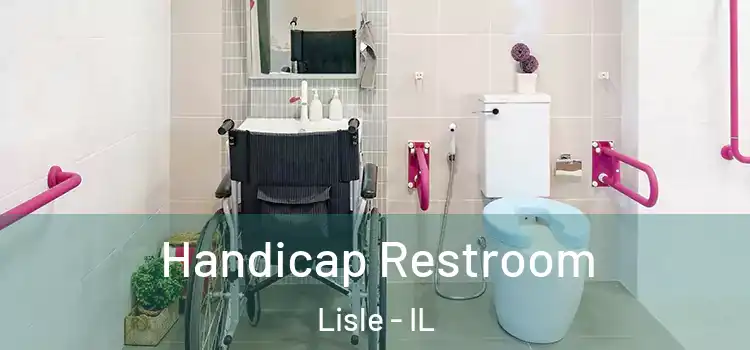  Handicap Restroom Lisle - IL