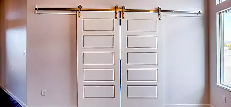 Glass Barn Door with Installation Hardware Kit Lisle