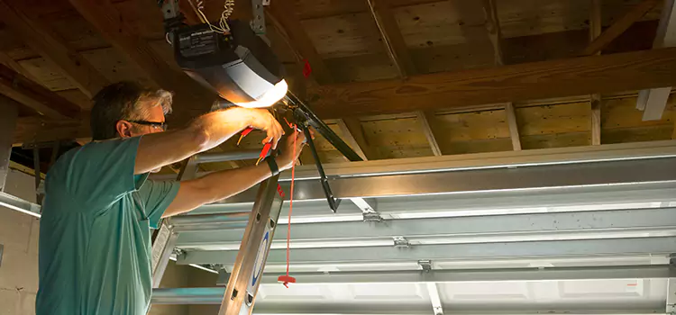 Garage Door Opener Sales and Installation Lisle