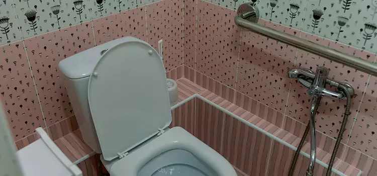 Meeting Diverse Needs With Accessible Restroom Solutions in Lisle, IL