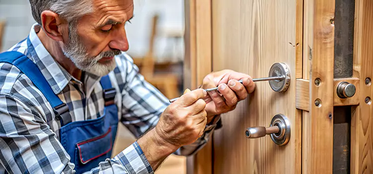 Mortise Replacement Lock Lisle