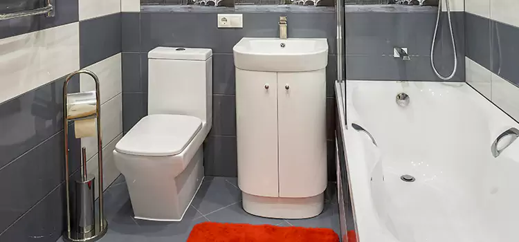 Hansgrohe Shaving Mirror Lisle