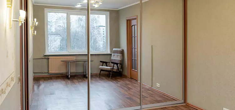 Mirror Closet Door Roller Replacement Lisle
