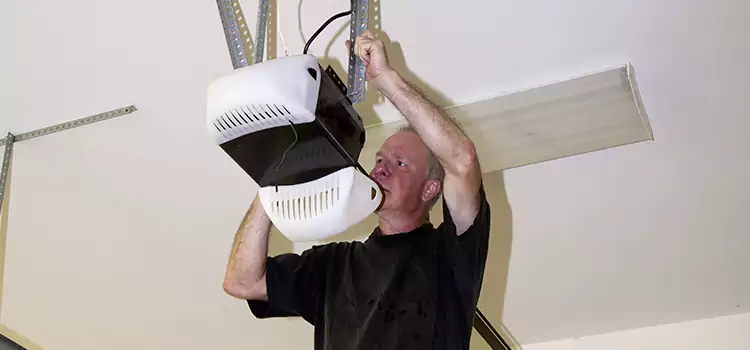 Garage Door Opener Service Lisle