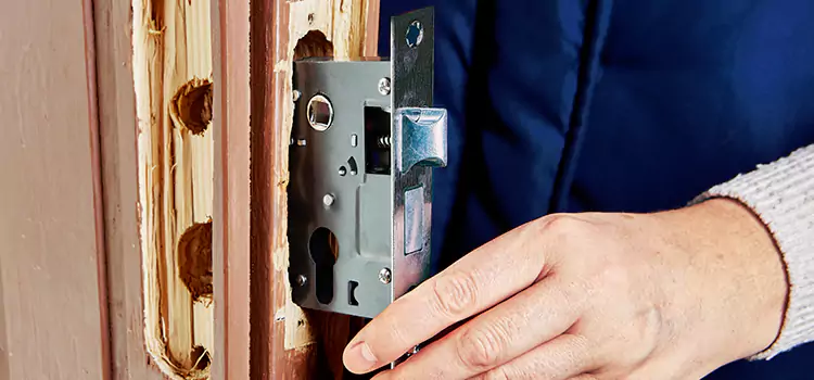Garage Door Lock Replacement Lisle