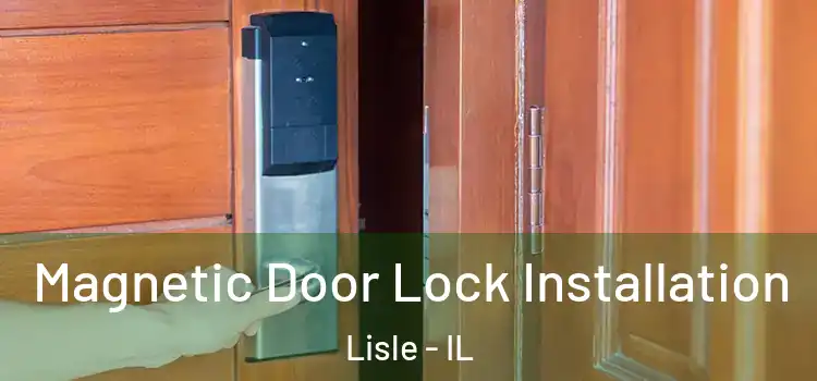  Magnetic Door Lock Installation Lisle - IL
