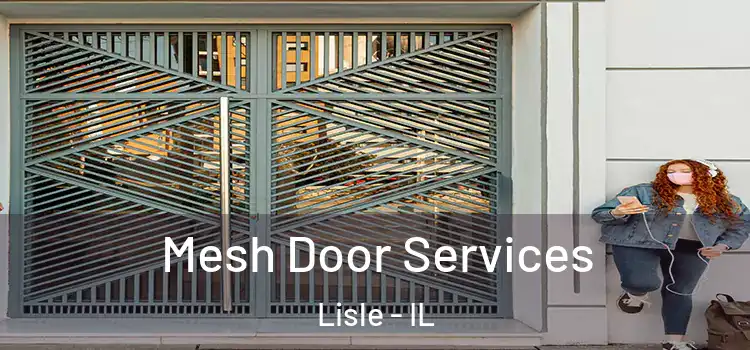 Mesh Door Services Lisle - IL