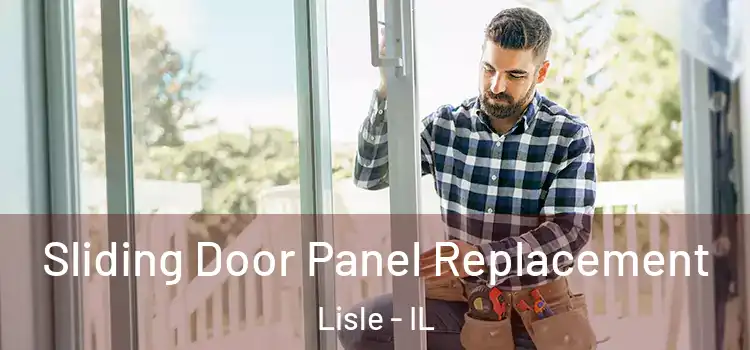  Sliding Door Panel Replacement Lisle - IL
